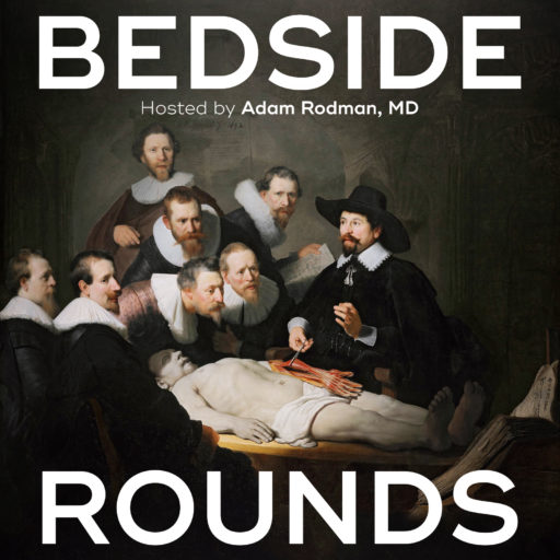 bedside-rounds.org
